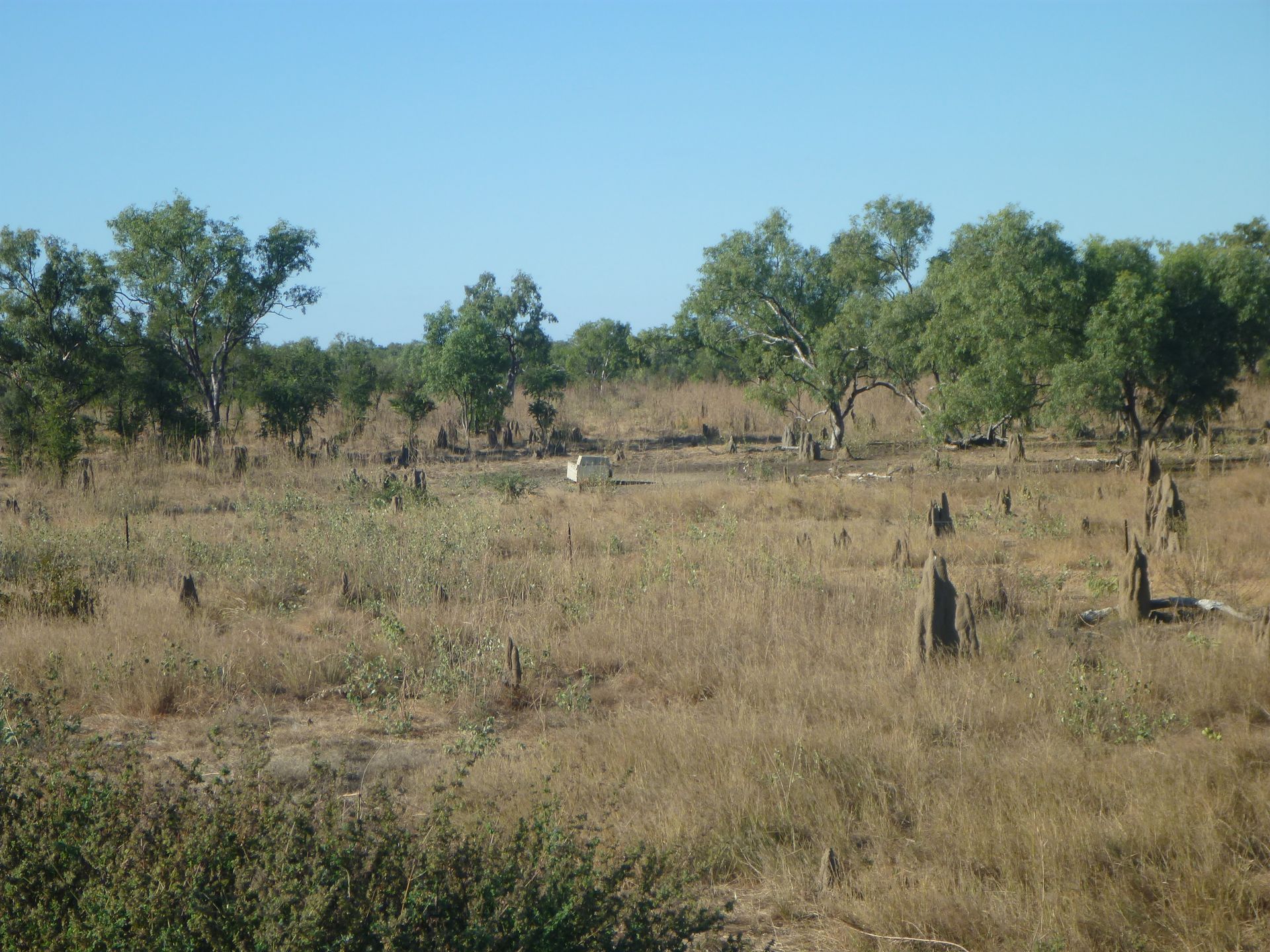 APO NT calls for urgent cost of living relief for remote Territorians